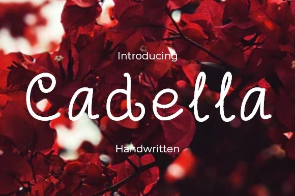 Cadella: A Font for Business Style