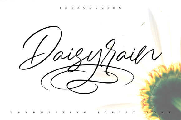 Daisy Rain Font for Professional Branding