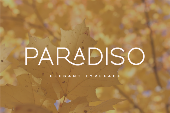 Paradiso Font: A Simple Upgrade for Stronger Brand Design