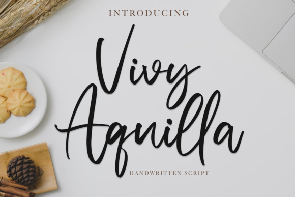 Vivy Aquilla: A Font for Business Brilliance